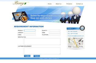 網(wǎng)頁與網(wǎng)站設(shè)計 構(gòu)建企業(yè)數(shù)字門戶的藝術(shù)與科學(xué)